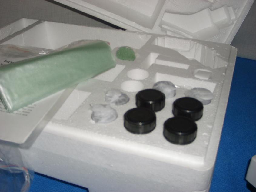 1146: AmScope XSG Microscope, Optic / Microscope, AmScope